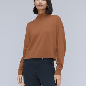 Everlane The Luxe Merino Turtleneck